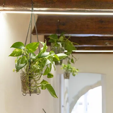 Fla Apartmán